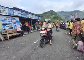 Libur Panjang Meningkatkan Penjualan Nanas di Wisata Gunung Kelud Kediri