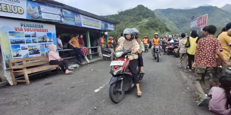 Libur Panjang Meningkatkan Penjualan Nanas di Wisata Gunung Kelud Kediri