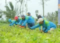 Ketahanan Pangan Pemasyarakatan Panen Kacang Hijau di Ngajum Malang