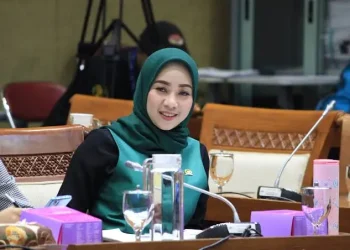 Belajar dari Krisis Venezuela, DPR Tekankan Pentingnya Ketahanan Energi Nasional