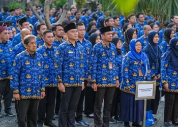 Perbedaan PNS, PPPK, dan PPPK Paruh Waktu Meski Sama-sama ASN